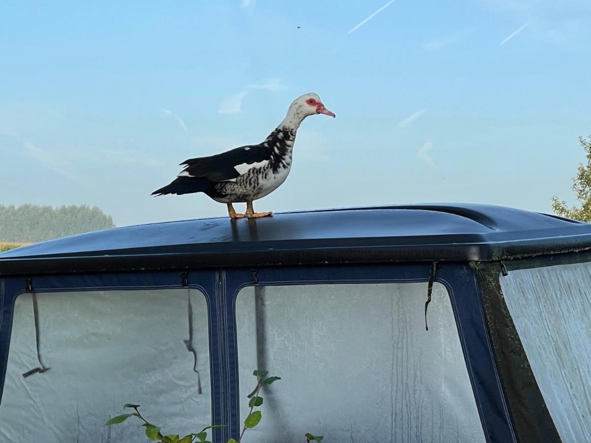 Parel Van Bever - Perle De Bievene Zewnętrze zdjęcie